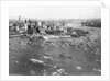 New York Celebration for Lindbergh by Anonymous