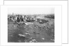 New York Celebration for Lindbergh by Anonymous
