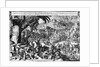 Spanish Tyranny in the West Indies by Pierre van der Aa