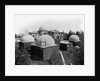 Harvard Observatory Complex by Anonymous