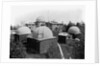 Harvard Observatory Complex by Anonymous