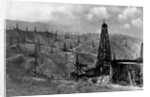 Oil Rigs Near Taft, California by Anonymous