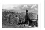 Oil Rigs Near Taft, California by Anonymous