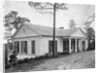 The Little White House by Anonymous