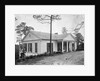 The Little White House by Anonymous