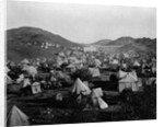Pilgrims' Camp Outside Mecca by Anonymous