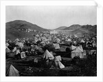 Pilgrims' Camp Outside Mecca by Anonymous