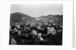 Pilgrims' Camp Outside Mecca by Anonymous