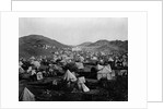 Pilgrims' Camp Outside Mecca by Anonymous