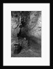 Mammoth Onyx Cave in Kentucky by Anonymous