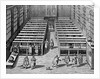 Seventeenth Century Engraving Interior of the Leiden Library by Anonymous