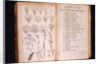 Systema Naturae. 1756 by Anonymous