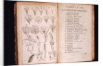 Systema Naturae. 1756 by Anonymous