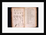 Systema Naturae. 1756 by Anonymous