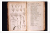Systema Naturae. 1756 by Anonymous