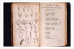 Systema Naturae. 1756 by Anonymous