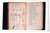 Systema Naturae. 1756 by Anonymous