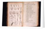 Systema Naturae. 1756 by Anonymous