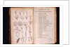 Systema Naturae. 1756 by Anonymous