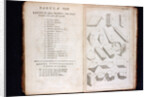 Systema Naturae. 1756 by Anonymous