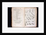 Systema Naturae. 1756 by Anonymous