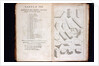 Systema Naturae. 1756 by Anonymous