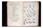 Systema Naturae. 1756 by Anonymous