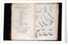 Systema Naturae. 1756 by Anonymous