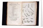 Systema Naturae. 1756 by Anonymous