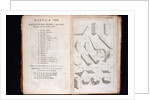 Systema Naturae. 1756 by Anonymous