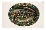 Monographie de l'oeuvre de Bernard Palissy by Anonymous