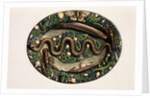 Monographie de l'oeuvre de Bernard Palissy by Anonymous