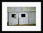Horse Peering Through Barn Door by Anonymous