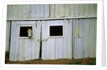 Horse Peering Through Barn Door by Anonymous