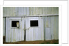 Horse Peering Through Barn Door by Anonymous
