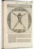 De architectura libri deci by Anonymous