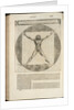 De architectura libri deci by Anonymous