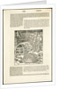 De architectura libri deci by Anonymous