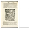 De architectura libri deci by Anonymous