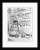 Misguided Lady Putting Up Poster Political Cartoon by Anonymous