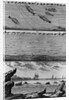 Engraving of Cod Fishing by Anonymous