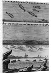 Engraving of Cod Fishing by Anonymous
