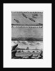Engraving of Cod Fishing by Anonymous