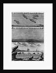 Engraving of Cod Fishing by Anonymous