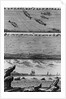 Engraving of Cod Fishing by Anonymous