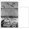 Engraving of Cod Fishing by Anonymous