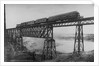 Passenger Train on Posada-Encarnation Trestle Bridge, Mexico by Anonymous