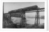 Passenger Train on Posada-Encarnation Trestle Bridge, Mexico by Anonymous