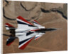 Red, White, and Blue F-15B in Flight by Anonymous