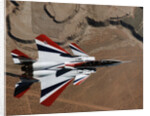 Red, White, and Blue F-15B in Flight by Anonymous